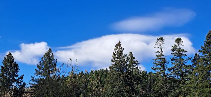 Cap (pileus) clouds over the cumulus in the mountains of southern New Mexico.

https://en.wikipedia.org/wiki/Pileus_(meteorology)