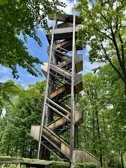 Aussichtsturm Margarethenwarte, Holzturm umringt von grünen Bäumen