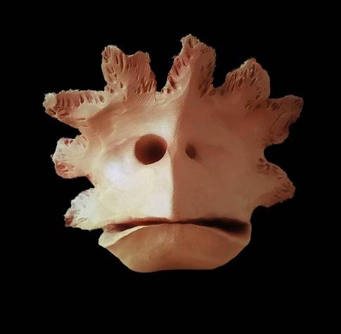 This image shows a sculptural piece that appears to be made of plasticine. It has the basic form of a face or mask with distinctive features. The sculpture has two circular holes that resemble eyes, a horizontal indentation suggesting a mouth, and most notably, an elaborate crown-like structure extending outward from the top. This crown consists of several irregular, jagged projections that radiate outward, giving it a star-like or coral-like appearance. The sculpture has a pinkish-beige color and is photographed against a solid black background, creating a dramatic contrast that highlights its unusual form and texture. The surface appears smooth in some areas while showing textural details in others, particularly in the crown-like extensions.