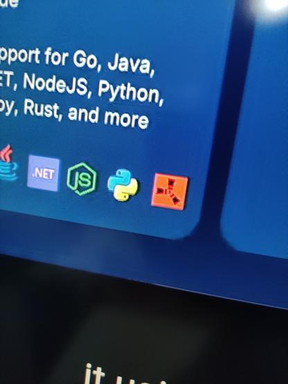 java (programming language), .net (runtime), node.js (runtime), python (programming language), and rust (video game) logos next to each other. a partially visible paragraph reads "(support) for Go, Java, (obscured) .NET, NodeJS, Python, (obscured), Rust and more"