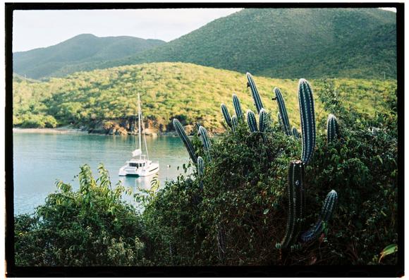 A landscape film photograph looking over a cove with a sailboat and turquoise water. In the foreground there is a cactus with many long skinny arms and other dense vegetation. In the background there are verdant hills.