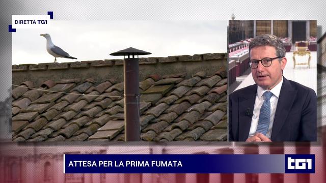 Gabbiano vicino al comignolo