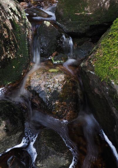 Water running down around some rocks. Framing the photo there are some bigger rocks that have moss in different shades of green.