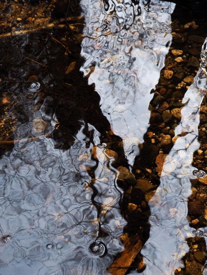 Picture of water surface. Reflection of trees creates V-shape on the water. Water is not still which creates some interesting abstract patterns from the reflections. Water is brown shade but clear so the rocks at the bottom are visible.