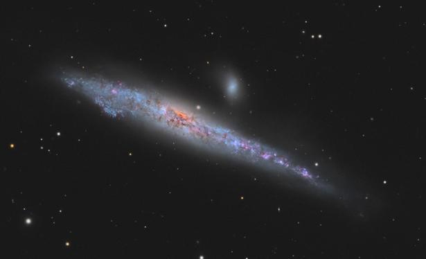 Detailed view of the Whale Galaxy (NGC 4631) showing dust lanes, an orange center, bright blue stars, and reddish clusters. Just above the galaxy is the fuzzy shape of an elliptical galaxy. Foreground stars and background galaxies fill the image.