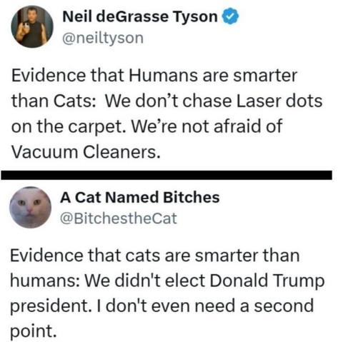 A tweet exchange on X. Neil deGrasse Tyson (@neiltyson
) posts: "Evidence that Humans are smarter than Cats: We don’t chase Laser dots on the carpet. We’re not afraid of Vacuum Cleaners." A user named A Cat Named Bitches (@BitchestheCat
) replies: "Evidence that cats are smarter than humans: We didn’t elect Donald Trump president. I don’t even need a second point." The profile picture for @BitchestheCat
 shows a white cat with blue eyes.