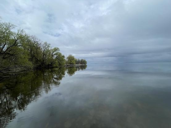 A view of an inlet of Lake Ontario from a portion of the extensive and convoluted shoreline of Princeton Edward County
