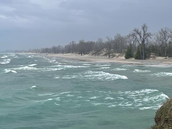 A photo of white-crested waves on a rough-looking greenish-tinged body of water with a long bank of forested sand hills in the background.