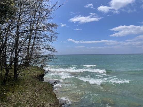 A photo of LakeOntario seen from SandbanksProvincialPark, in PrinceEdwardCounty, Ontario, with the shoreline and trees in evidence on the left side.