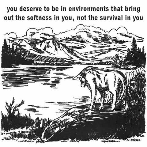 The image is a black and white sketch depicting a serene landscape. In the foreground, a wolf stands on the edge of a body of water, gazing towards the lake. The wolf is detailed with visible fur texture, and its posture suggests a calm demeanor. The background features a mountain range with clouds in the sky, adding depth to the scene. The water reflects the sky and mountains, creating a tranquil atmosphere. The text at the top of the image reads, "you deserve to be in environments that bring out the softness in you, not the survival in you," attributed to "STAR PARK." The overall composition emphasizes a peaceful coexistence with nature.