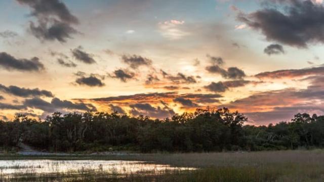 DeSantis says he plans to sign bill that would ban golf courses, hotels in Florida’s state parks