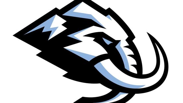Utah Mammoth is the permanent name of the NHL team in Salt Lake City