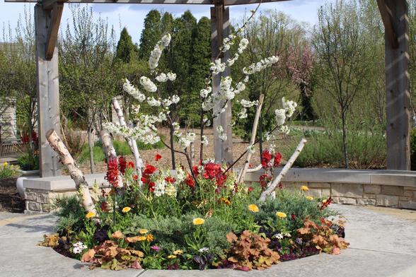 Dwarf white flowering trees, cut birch branches and red, yellow, purple, orange, and mixed color bloom of different varieties in a circular low stone wall raised bed wit curved stone benches with wooden beam supporting a just barely out of frame pergola. There are a variety of trees in the background with a few stone columns on the right in the background as well.