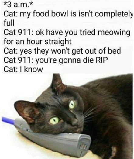 A black cat with green eyes lies dramatically on a cordless phone, as if calling 911 because its food bowl isn’t completely full.