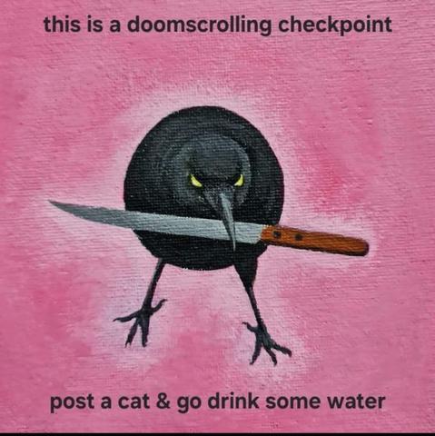 Doomscrolling Crow