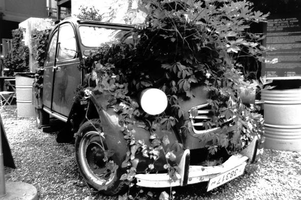 An old VW Beetle used as a planter. Black&white photography on film