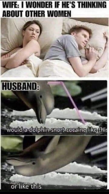 (Wife and husband in bed) WIFE: I WONDER IF HE'S THINKING ABOUT OTHER WOMEN HUSBAND: would a dolphin snort cocaine like this (dolphin using a straw from its blow hole) or like this (dolphin upside down with blow hole shoved into the cocaine)