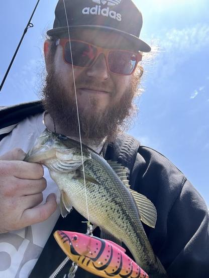 Another day another couple dinks
