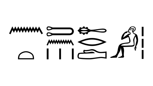Hieroglyphs representing an ancient Egyptian sentence. Transliteration and translation are in the reply.