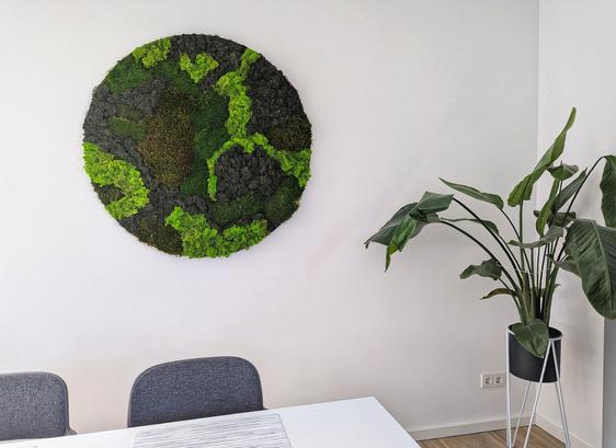The image shows a modern interior with a circular moss wall art piece hanging on a white wall. The moss art features various shades of green and brown, creating a textured, organic pattern. To the right of the moss art, there's a potted Bird of Paradise plant with large, glossy green leaves, adding a touch of nature to the room. Below the moss art, a white table with two grey chairs are visible, suggesting a dining or workspace setting. The overall aesthetic is clean, contemporary, and incorporates natural elements.