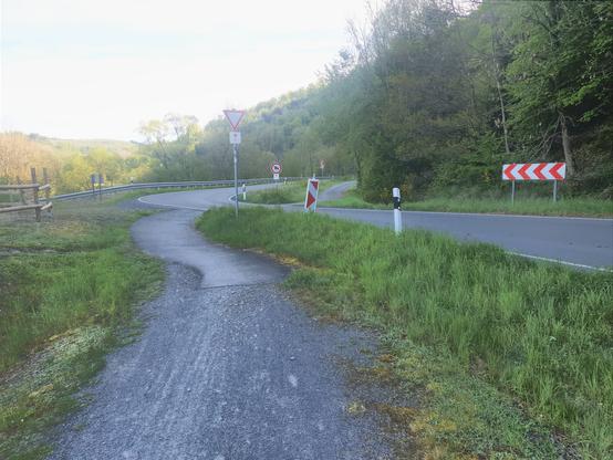 Fahrradweg kreuzt Straße. Fahrräder müssen warten. Das ganz umrahmt von satten Grün.