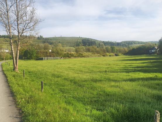 Ausläufer des Rothaargebirges im Edertal. Im Vordergrund saftige Wiesen und ein geteerter Weg