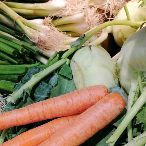 Karotten, Kohlrabi, Frühlingszwiebeln und andere Gemüse auf einem lustigen Haufen.