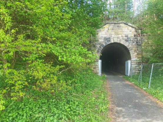 Ausfahrt vom Rettighäuser Tunnel, ebenfalls im grün, rechts ein Bauzaun