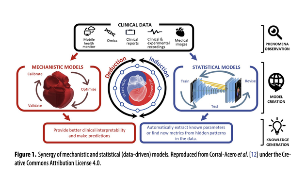 Figure 1. Synergy of mechanistic and statistical (data-driven) models. Reproduced from Corral-Acero et al. [12] under the Cre-
ative Commons Attribution License 4.0.

The advent of new experimental methods and the rise of machine learning [8–11] have introduced an apparent dichotomy between mechanistic and data‑driven approaches. Data‑driven
models seem to navigate a cloudy summit, while mechanistic models dwell in the village. Both possess the potential for integration, as data‑driven models can be hypothesis proffering
(mountain‑to‑village information transfer), while mechanistic models, especially when bridging multiple scales (temporal, spatial, species, disease, etc.) can offer relevant data input (village‑to‑
mountain information transfer). With the latter being built upon first principles, they are more likely to generalize well and respect fundamental laws of physics. The former, however, are di‑
rectly linked to real‑world observations and thus more likely to capture important phenomena of in vivo (patho‑)physiology. Looking to the future, we need to integrate data‑driven and mecha‑
nistic modelling approaches, as visualized in figure 1, more systematically in order to use the full potential of both.