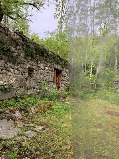 View of the stone house with ferns & stairs with moss (through plastic shield)