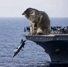 I think we found the problem with the Aircraft Carrier Truman. A giant cat is pushing planes off the flight deck.