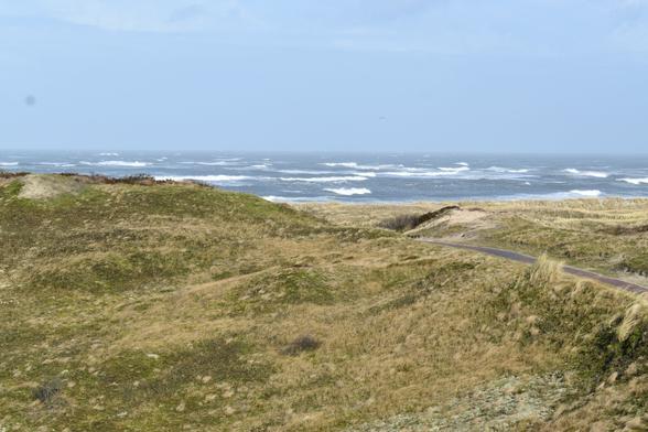 The North-Sea, seen beyond some dunes covered in Ammophila arenaria (European beachgras), etc.