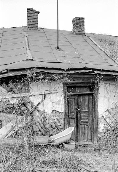 The image shows an old, dilapidated house with a heavily weathered wooden door and a damaged exterior wall. The structure appears to be made of a mix of wood, stone, and plaster, some of which is crumbling and missing. The roof is metal, uneven, and has two brick chimneys protruding from it. Vines and dry vegetation are growing up the walls and around the entrance, adding to the abandoned feel of the scene. In front of the door, there is an old bathtub lying on its side, along with other scattered debris. The overall atmosphere suggests neglect and decay.