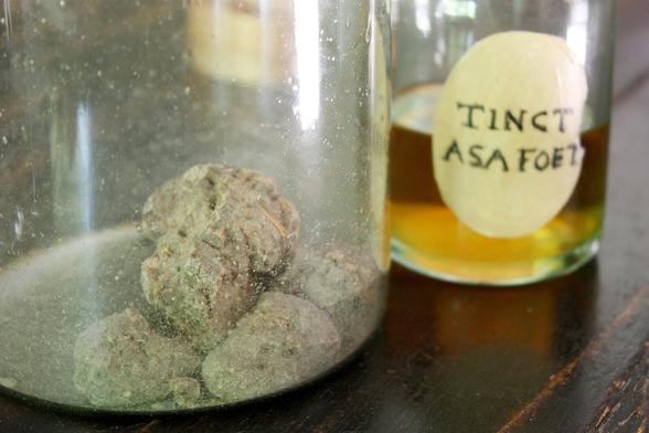 Wiki Commons photo showing unprocessed asafoetida in a jar and as a tincture.