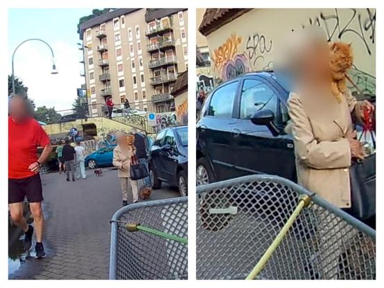 Immagine composta da due fotogrammi affiancati della stessa scena a pochi secondi di distanza.

La ripresa è dal manubrio della mia bici. Davantinsi vede la ciclabile del naviglio Martesana. Si vedono alcune persone a piedi. Una signora porta  a passeggio un cane di piccola taglia. Sulla sua spalla c'è un gatto rosso a pelo lungo, seduto tranquillo