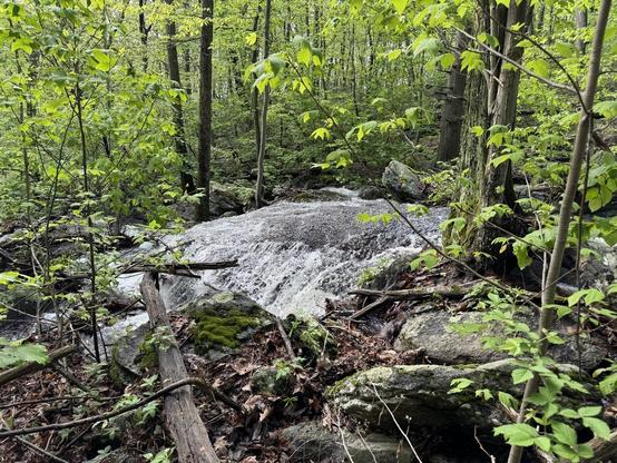 A view of heavy runoff in Frederick, Maryland, municipal forest in Catoctin mountains