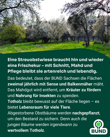 Blühende Obstbäume auf einer gepflegten Streuobstwiese, umgeben von Wald. Text erklärt Pflegemaßnahmen: Mahd mit Sense und Balkenmäher, Förderung von Kräutern und Insekten, Erhalt von Totholz als Lebensraum. Logo von BUND.