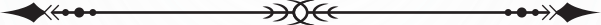 Divisore