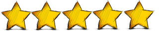 Valutazione del libro: cinque stelline gialle