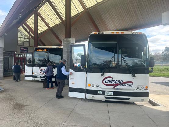 two white concord coach lines parked at the concord coach lines terminal in concord, under a canopy and with the building to the left