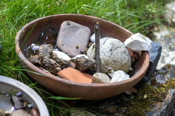 Bee waterer.