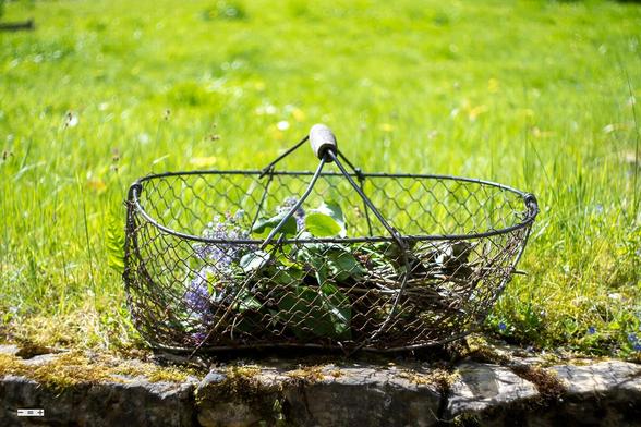 Basket by the meadow.