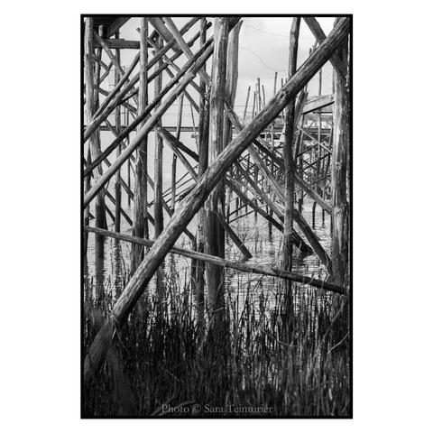 (English follows) Photographie noir et blanc, format portrait, ratio 2x3. L'image est centrée sur les poteaux soutenant les pêcheries s'avançant dans la Loire, donnant l'impression d'une forêt de bois colorés au gré des marées et de l'eau. 

Black and white photograph, portrait format, 2x3 ratio. The image is centered on the poles supporting the fisheries jutting out into the Loire, giving the impression of a forest of woods colored by the tides and water.