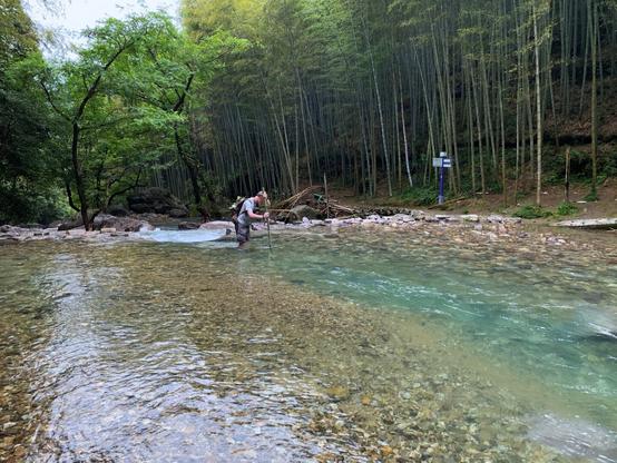 A guy crossing a river in a forest