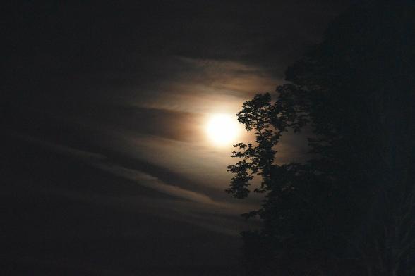 La lune se dévoile, dans la nuit noire. Les nuages l'entourent d'un voile laiteux.