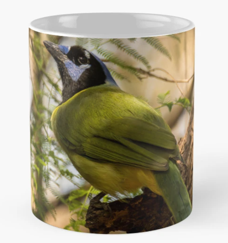A vibrant green and blue bird sits perched on a branch, surrounded by delicate fern leaves. Sunlight filters through the trees, casting dappled light on the scene. Photography by Debra Martz
Image printed on a coffee mug