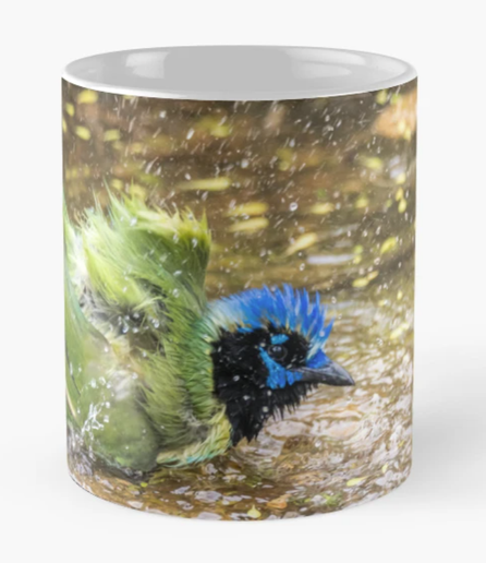 A vibrant bird with green, blue, and yellow feathers is vigorously bathing in shallow water, creating a dynamic splash around itself. The bird's feathers are ruffled, and water droplets are captured mid-air, showcasing the energy of the moment. by Debra Martz
Image printed on a coffee mug!