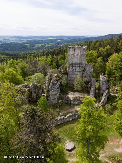 Ruine einer mittelalerlichen Burg mit markantem Bergfried umsäumt von Bäumen in frischem Frühlingsgrün