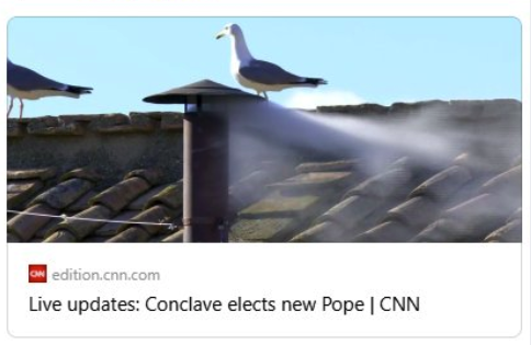 Screenshot from CNN. Text "Live updates: Conclave elects new Pope".  Photo closeup of small chimney with white smoke with a seagull standing on the roof beside it.