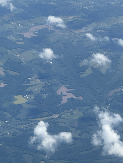 An aerial view photo showing a large, sasquatch-looking brown shape in the middle of a densely wooded area. Clouds visible sporadically.